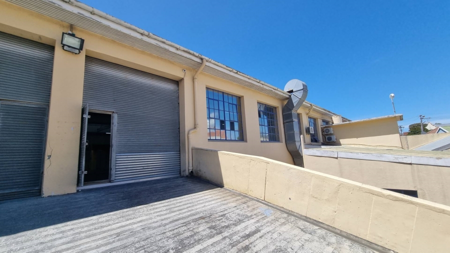 To Let commercial Property for Rent in Observatory Western Cape